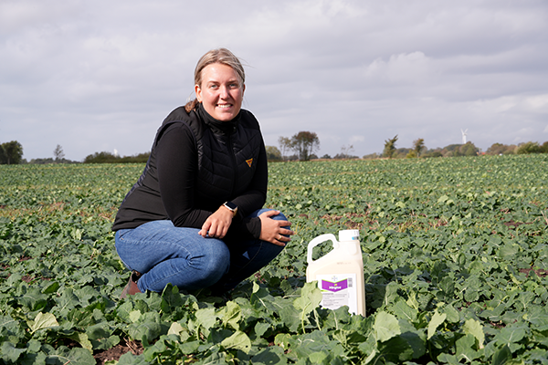 Clara Andersson i ett höstrapsfält